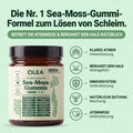 Sea Moss 16-in-1 Wellness-Gummies – Schleim lösen & Atemwegsgesundheit wiederherstellen